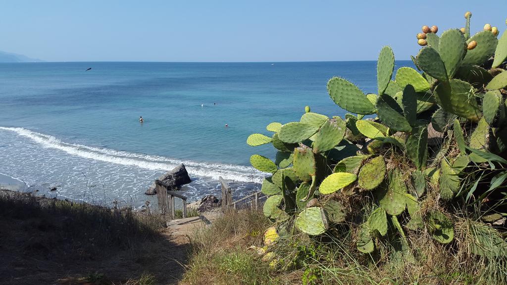 Ionian